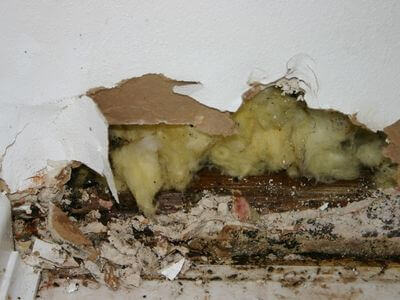 About Priority Recovery - water damage restoration experts in Markham